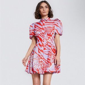 One 33 Social Zebra Print Cocktail Dress ✨